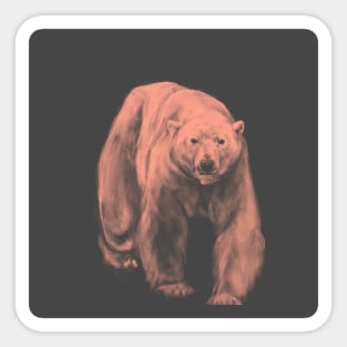 cute bear Sticker